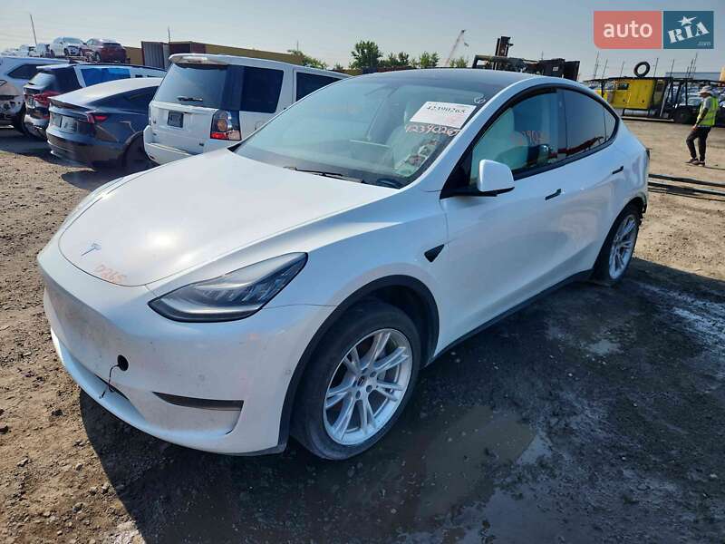 Внедорожник / Кроссовер Tesla Model Y 2020 в 