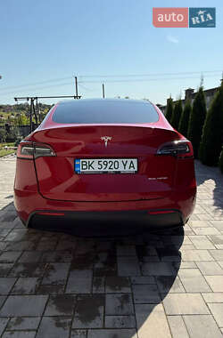 Внедорожник / Кроссовер Tesla Model Y 2020 в Ровно