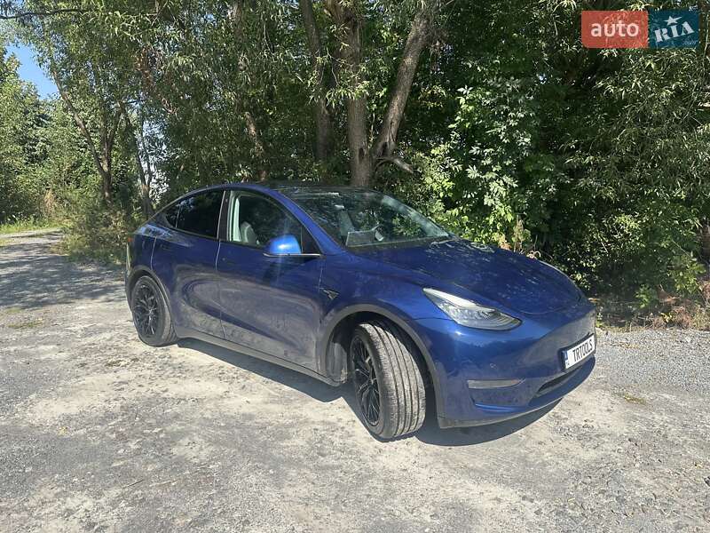Позашляховик / Кросовер Tesla Model Y 2020 в Львові
