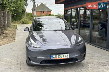 Внедорожник / Кроссовер Tesla Model Y 2020 в Новоселице