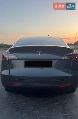 Внедорожник / Кроссовер Tesla Model Y 2021 в Черновцах