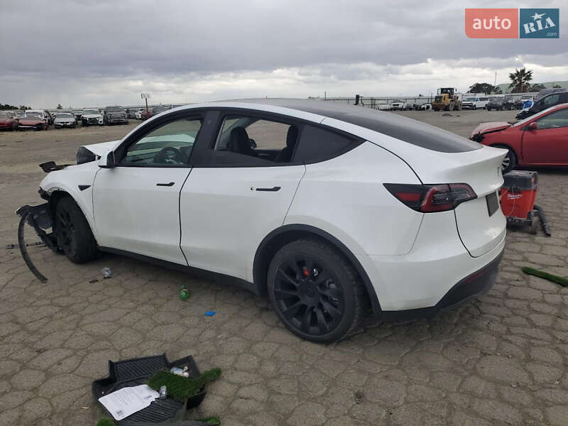 Внедорожник / Кроссовер Tesla Model Y 2023 в Днепре