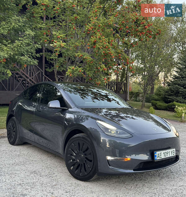 Позашляховик / Кросовер Tesla Model Y 2022 в Дніпрі