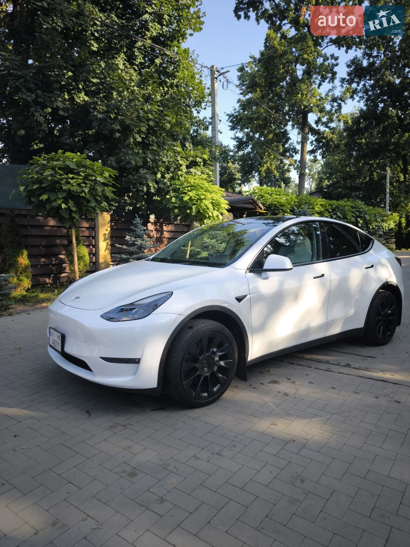 2023 Tesla Model Y - фото 1
