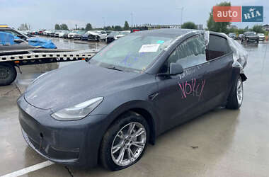 Внедорожник / Кроссовер Tesla Model Y 2024 в 