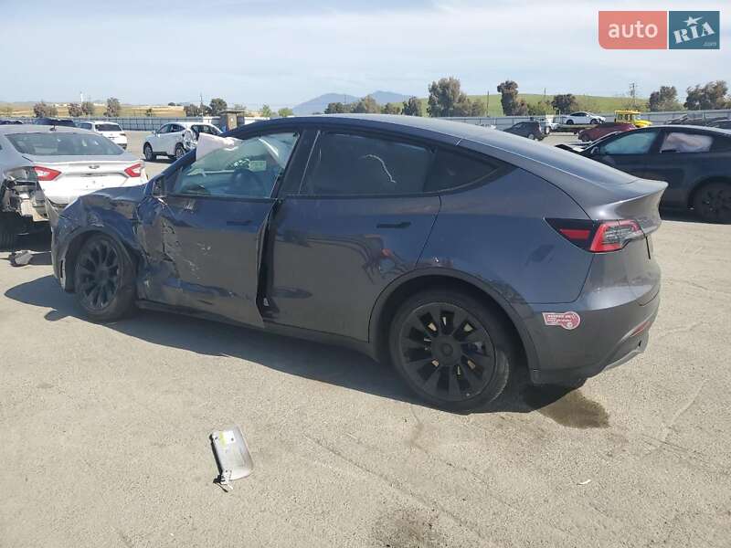 Позашляховик / Кросовер Tesla Model Y 2022 в Самборі