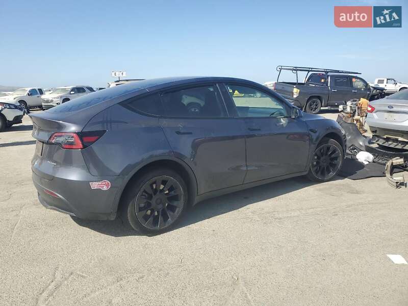 Позашляховик / Кросовер Tesla Model Y 2022 в Самборі
