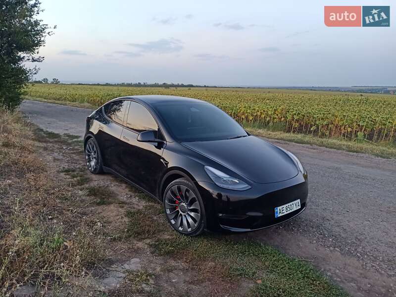 Внедорожник / Кроссовер Tesla Model Y 2021 в Днепре