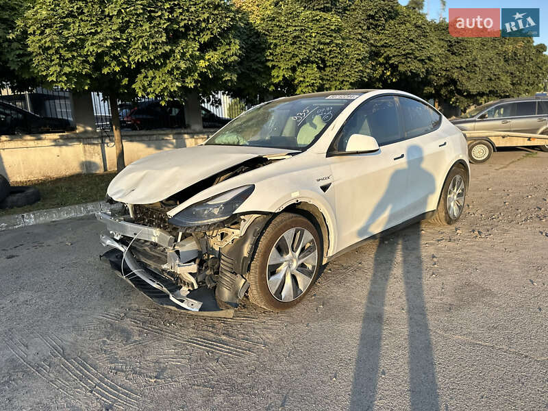 Внедорожник / Кроссовер Tesla Model Y 2023 в 