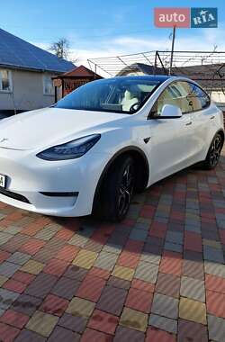 Позашляховик / Кросовер Tesla Model Y 2020 в 
