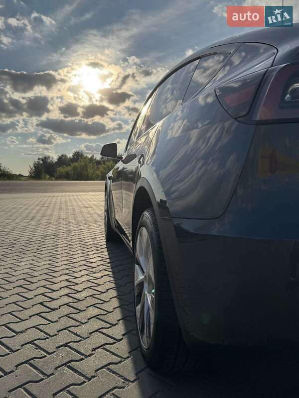Позашляховик / Кросовер Tesla Model Y 2023 в Ковелі