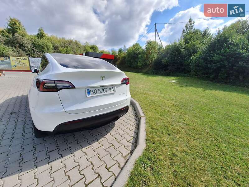 Позашляховик / Кросовер Tesla Model Y 2021 в Тернополі