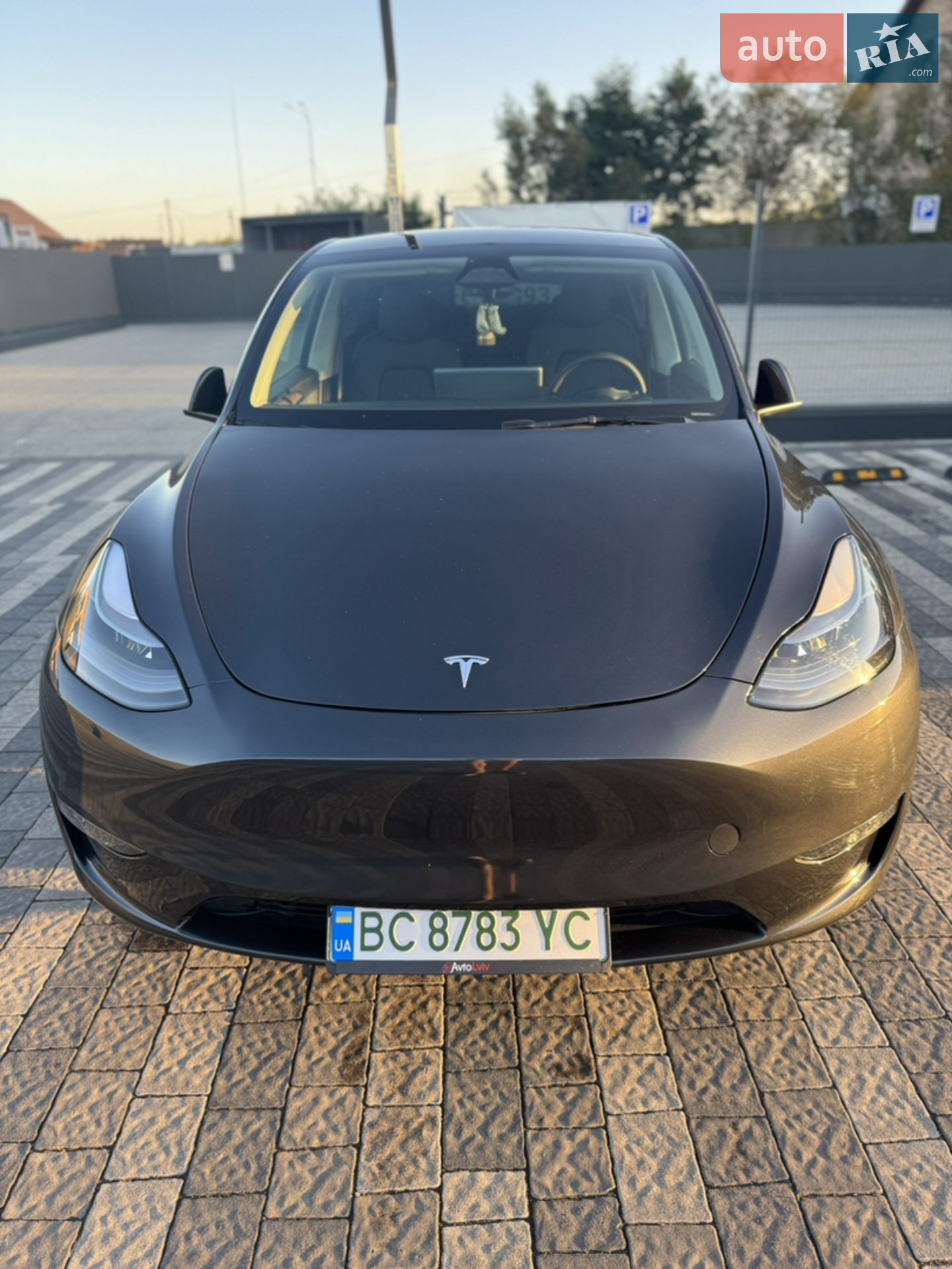 2024 Tesla Model Y - фото 1