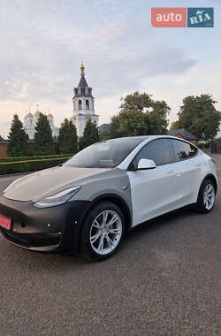 Позашляховик / Кросовер Tesla Model Y 2021 в Луцьку