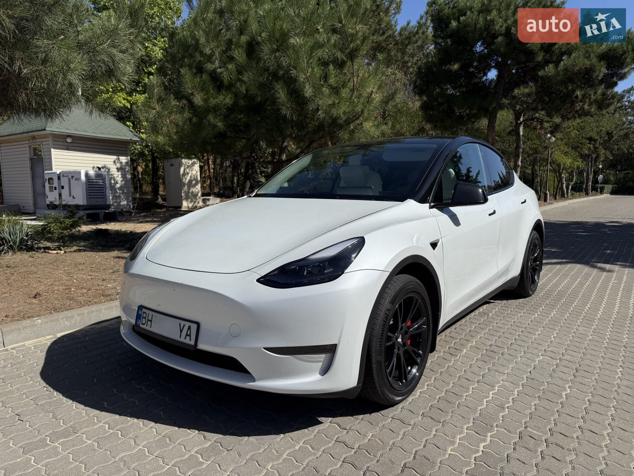 2023 Tesla Model Y - мініатюра 23