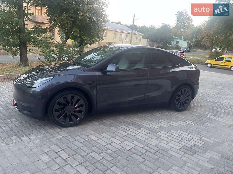 Внедорожник / Кроссовер Tesla Model Y 2024 в Днепре