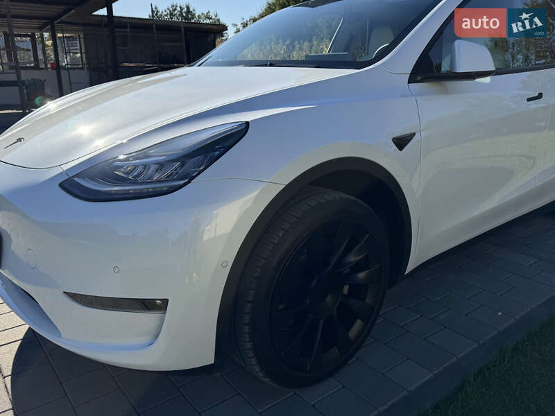 Внедорожник / Кроссовер Tesla Model Y 2021 в Хмельницком