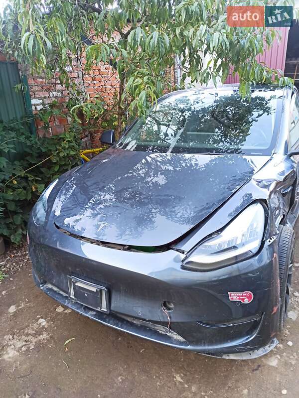 Позашляховик / Кросовер Tesla Model Y 2022 в Самборі