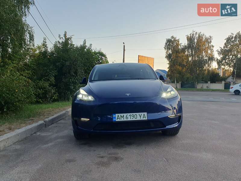 Внедорожник / Кроссовер Tesla Model Y 2023 в Житомире
