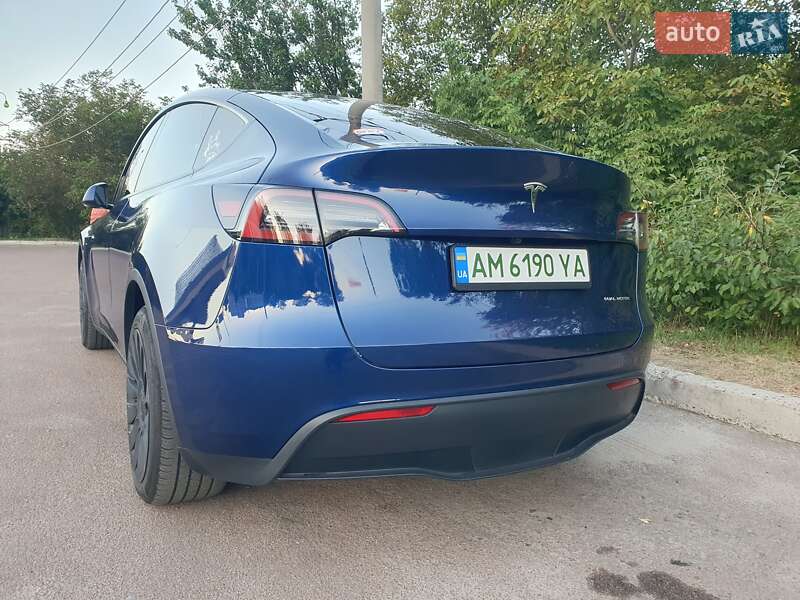 Внедорожник / Кроссовер Tesla Model Y 2023 в Житомире