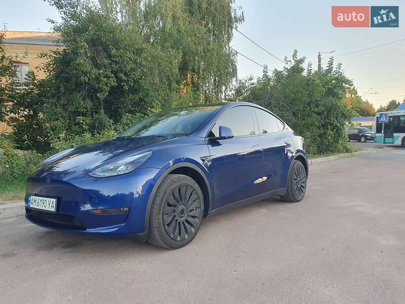 Внедорожник / Кроссовер Tesla Model Y 2023 в Житомире