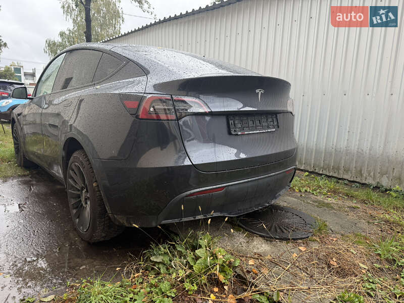 Внедорожник / Кроссовер Tesla Model Y 2024 в Хмельницком