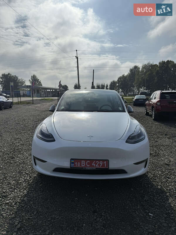 Позашляховик / Кросовер Tesla Model Y 2023 в Луцьку