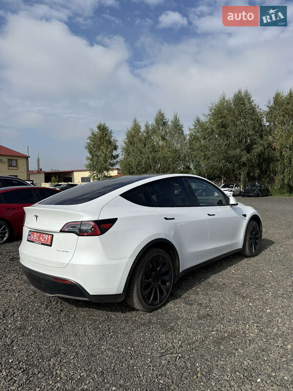 Позашляховик / Кросовер Tesla Model Y 2023 в Луцьку