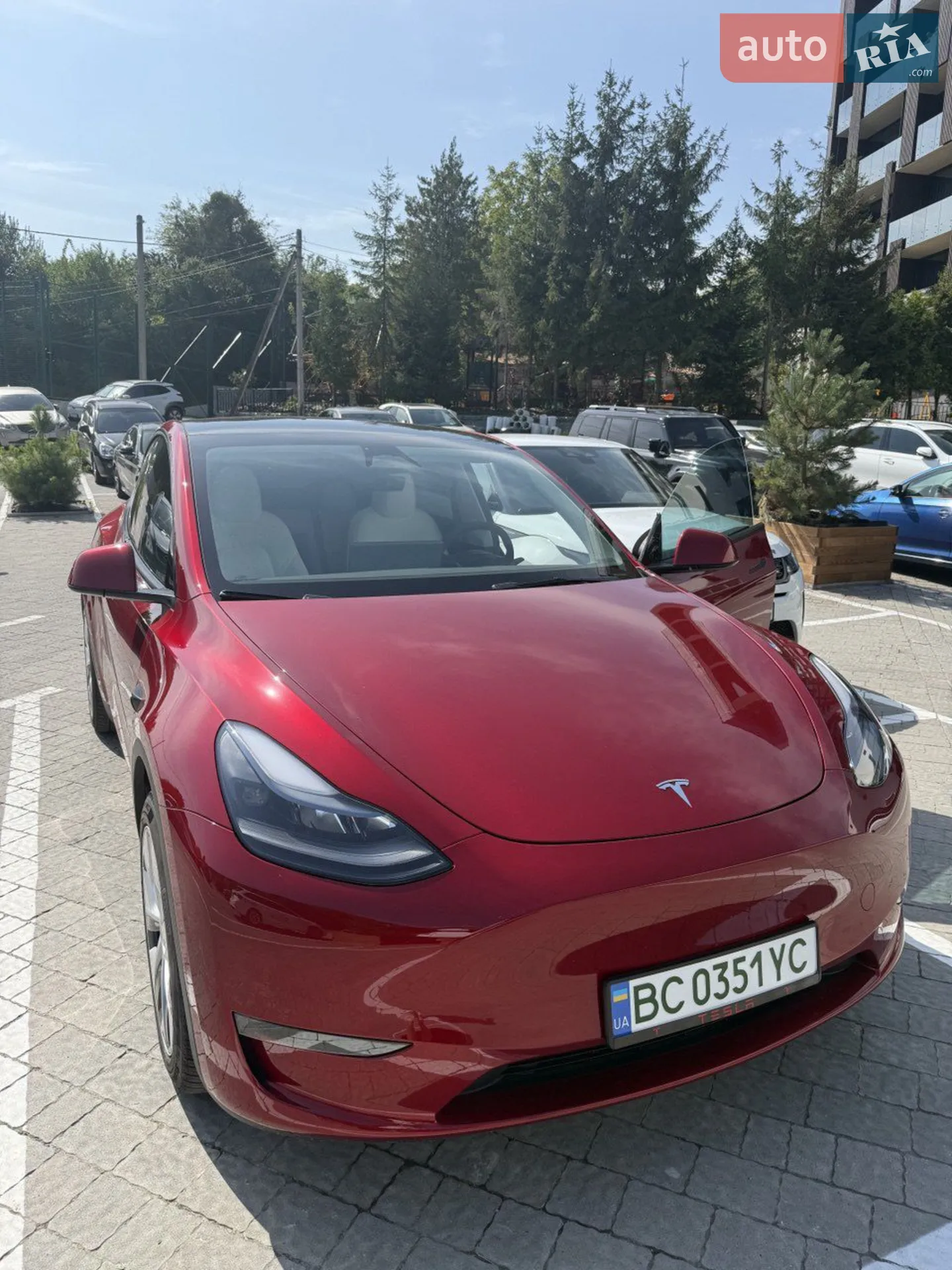 2024 Tesla Model Y - фото 1