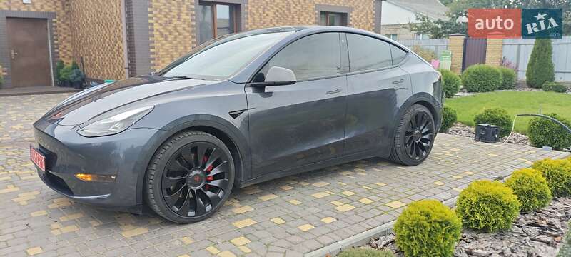Внедорожник / Кроссовер Tesla Model Y 2022 в Верхнеднепровске