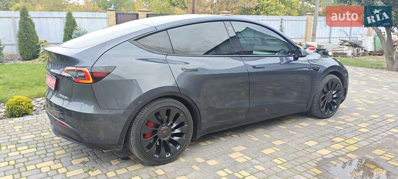 Внедорожник / Кроссовер Tesla Model Y 2022 в Верхнеднепровске