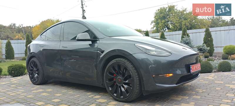 Внедорожник / Кроссовер Tesla Model Y 2022 в Верхнеднепровске