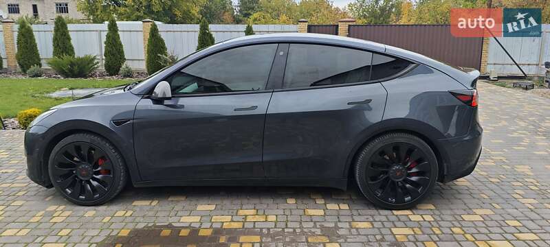 Внедорожник / Кроссовер Tesla Model Y 2022 в Верхнеднепровске