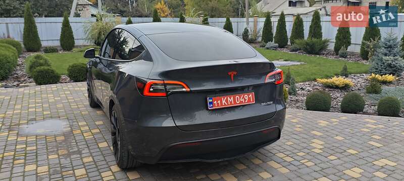 Внедорожник / Кроссовер Tesla Model Y 2022 в Верхнеднепровске
