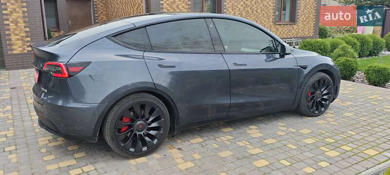 Внедорожник / Кроссовер Tesla Model Y 2022 в Верхнеднепровске