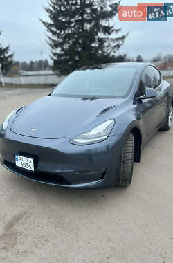 Внедорожник / Кроссовер Tesla Model Y 2022 в Житомире