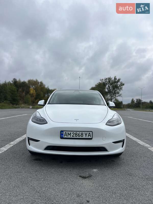 Позашляховик / Кросовер Tesla Model Y 2023 в Звягелі