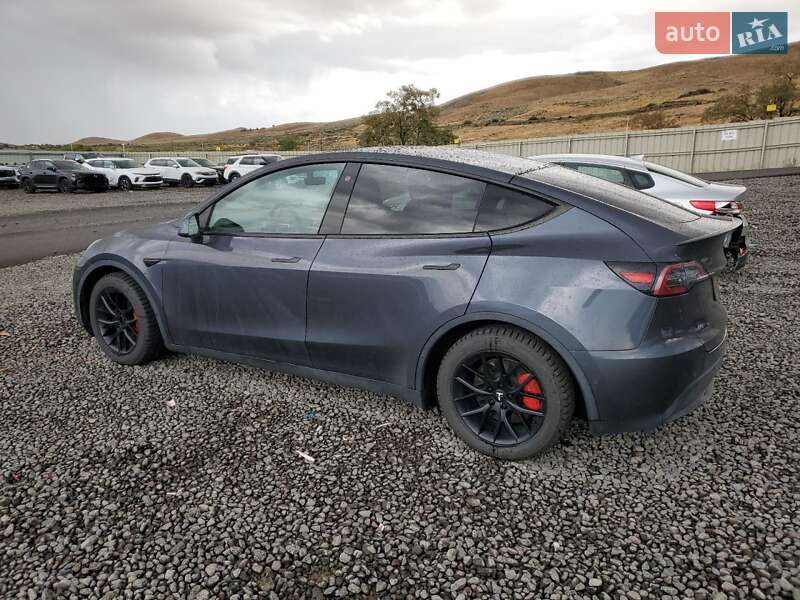 Внедорожник / Кроссовер Tesla Model Y 2021 в Киеве фото 2 Внедорожник / Кроссовер Tesla Model Y 2021 в Киеве