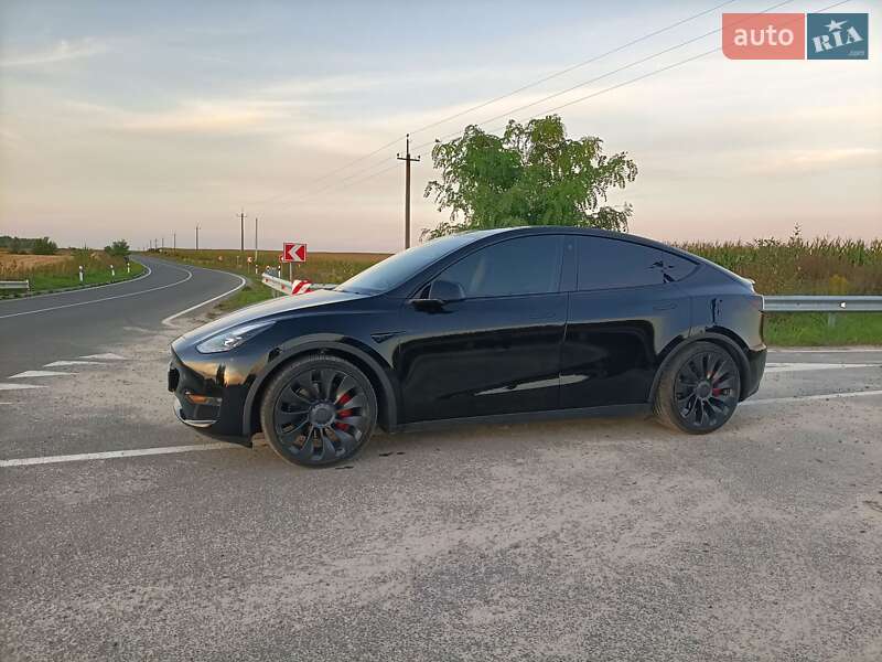Внедорожник / Кроссовер Tesla Model Y 2022 в Львове