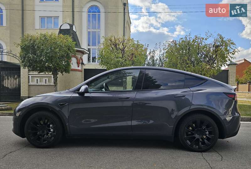 Внедорожник / Кроссовер Tesla Model Y 2023 в Сумах