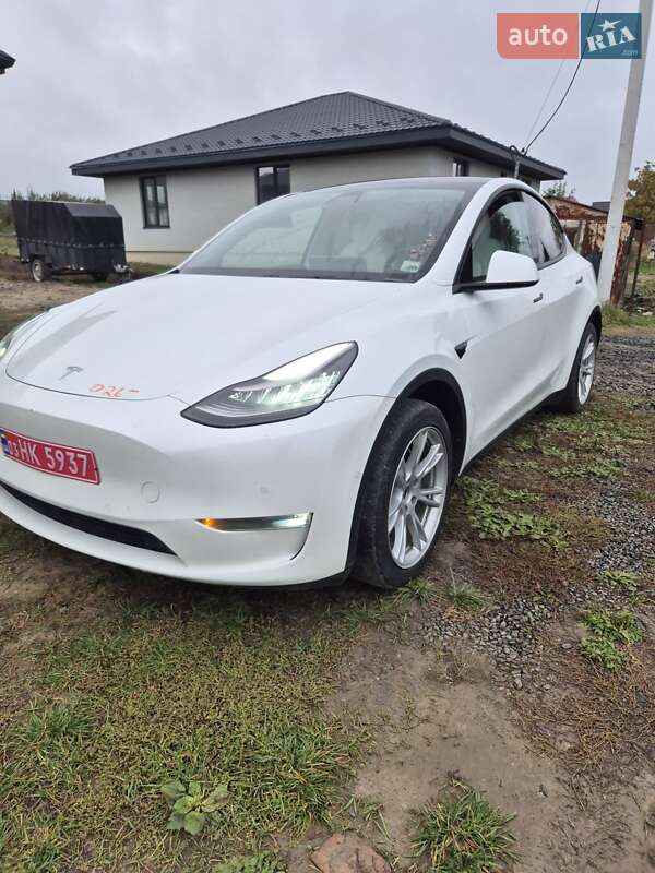Внедорожник / Кроссовер Tesla Model Y 2020 в Луцке