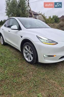Внедорожник / Кроссовер Tesla Model Y 2020 в Луцке