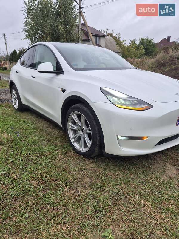Внедорожник / Кроссовер Tesla Model Y 2020 в Луцке