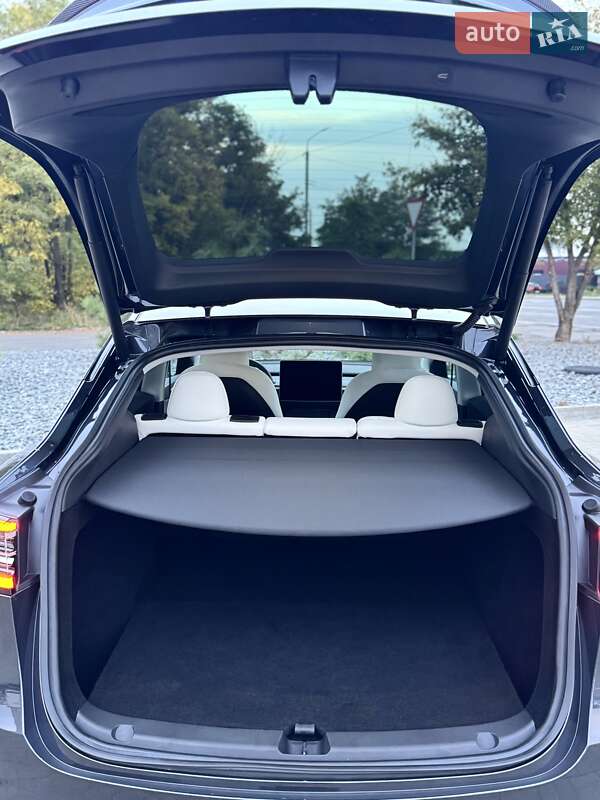 Позашляховик / Кросовер Tesla Model Y 2024 в Дніпрі