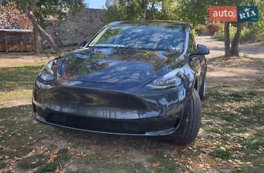 Внедорожник / Кроссовер Tesla Model Y 2024 в Запорожье