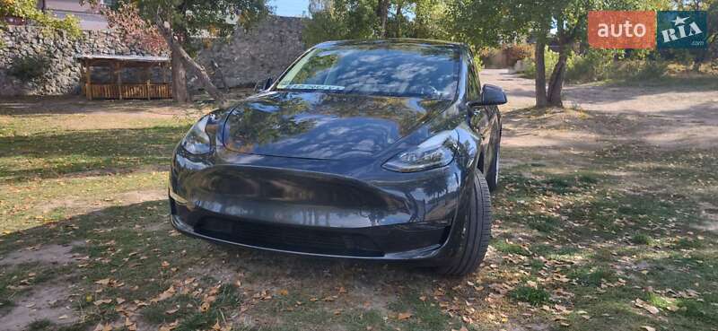 Tesla Model Y 2024