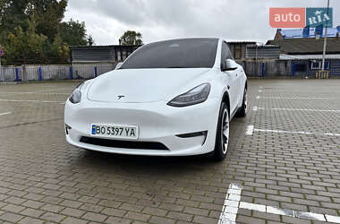 Внедорожник / Кроссовер Tesla Model Y 2023 в 