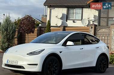 Позашляховик / Кросовер Tesla Model Y 2021 в 