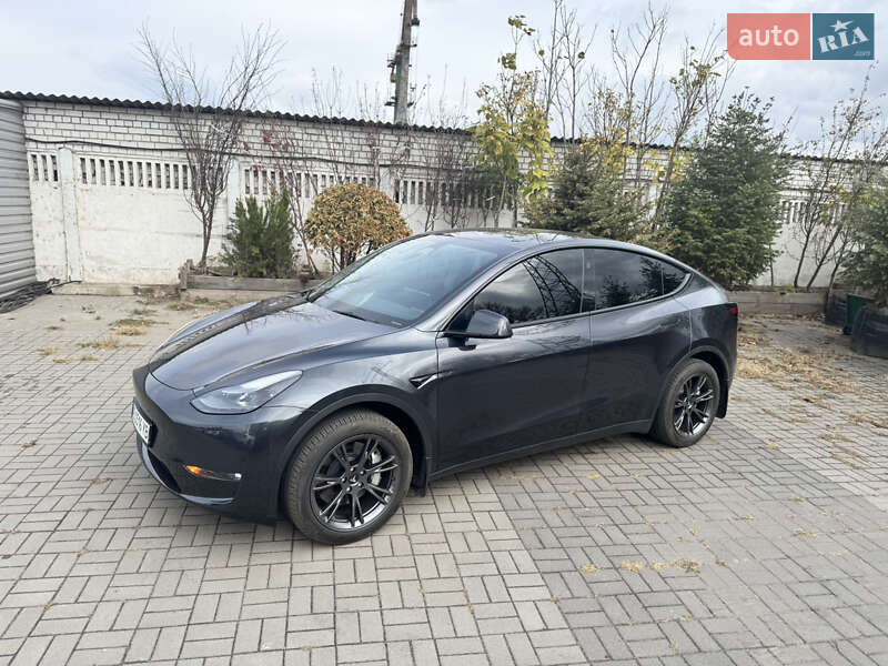 Позашляховик / Кросовер Tesla Model Y 2024 в Дніпрі