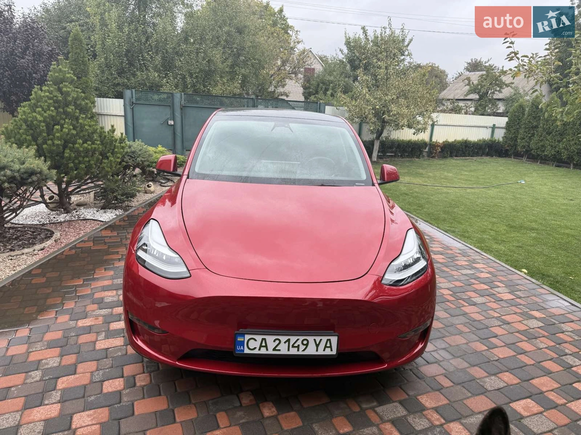 2023 Tesla Model Y - фото 1